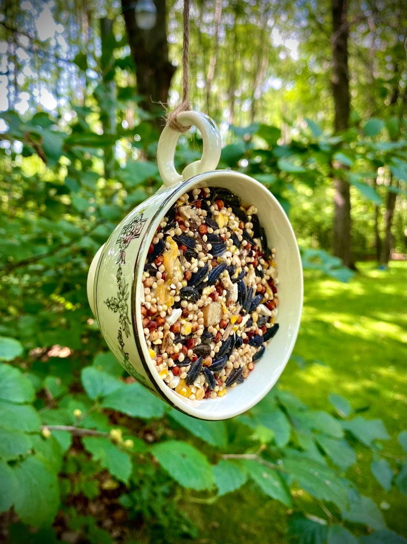 Tea Cup Bird Feeder Bird Feeders Tea Cup Suet Feeder Suet Etsy