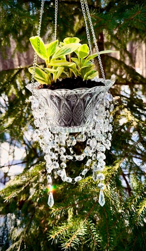Small Plant Hanger, Crystal Plant Hanger, Chandelier Plant Hanger, Rainbow  Plant Hanger, Sun Catcher, Crystal Sun Catcher, Hanging Plants - Etsy