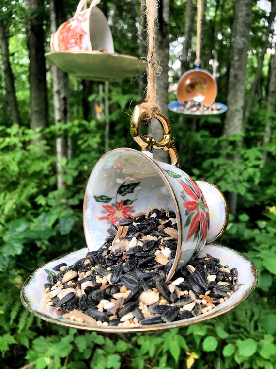 Image result for bird food holder