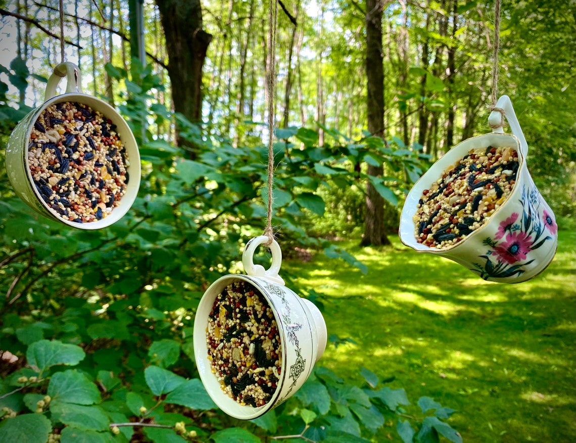 Tea cup bird feeder bird feeders tea cup suet feeder suet Etsy