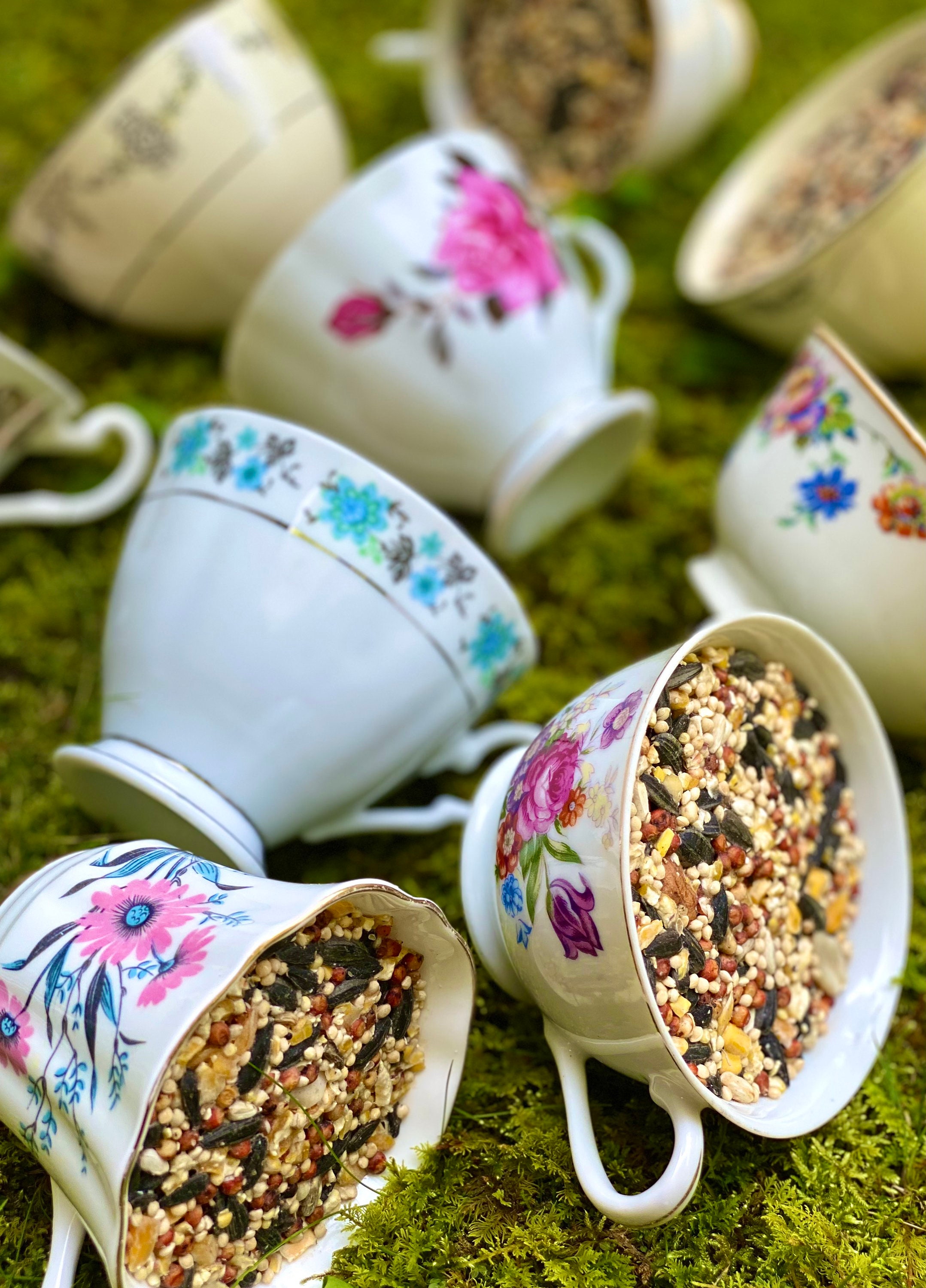 Tea cup bird feeder bird feeders tea cup suet feeder suet Etsy