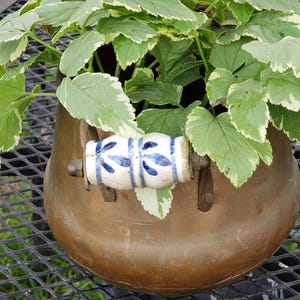 May include: A copper planter with a blue and white ceramic handle. The planter is filled with a green and white variegated plant.