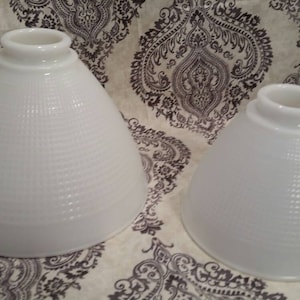 Mid Century Modern teardrop pendant lamp shade/globes