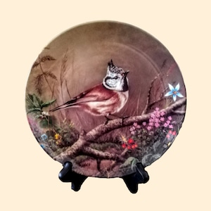 German Bird Plate ~ 1991 ~ Collectible Bird Art Decor