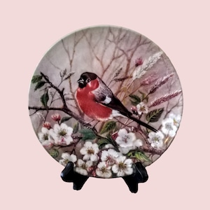 German Bird Plate 1991 ~ Collectible Bird Art Decor