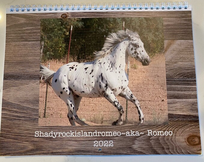 Appaloosa Calendar 2022 Etsy