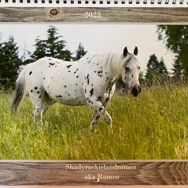 2024 Horses Calendar Etsy