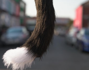 Cola de gato negro, disfraz de gatito, cosplay