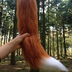May include: A long, fluffy, orange and white fox tail. The tail is held in a hand in front of a forest background.
