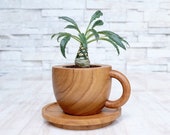Teak Wood Planter and Saucer (Café Edition - Light Tone)