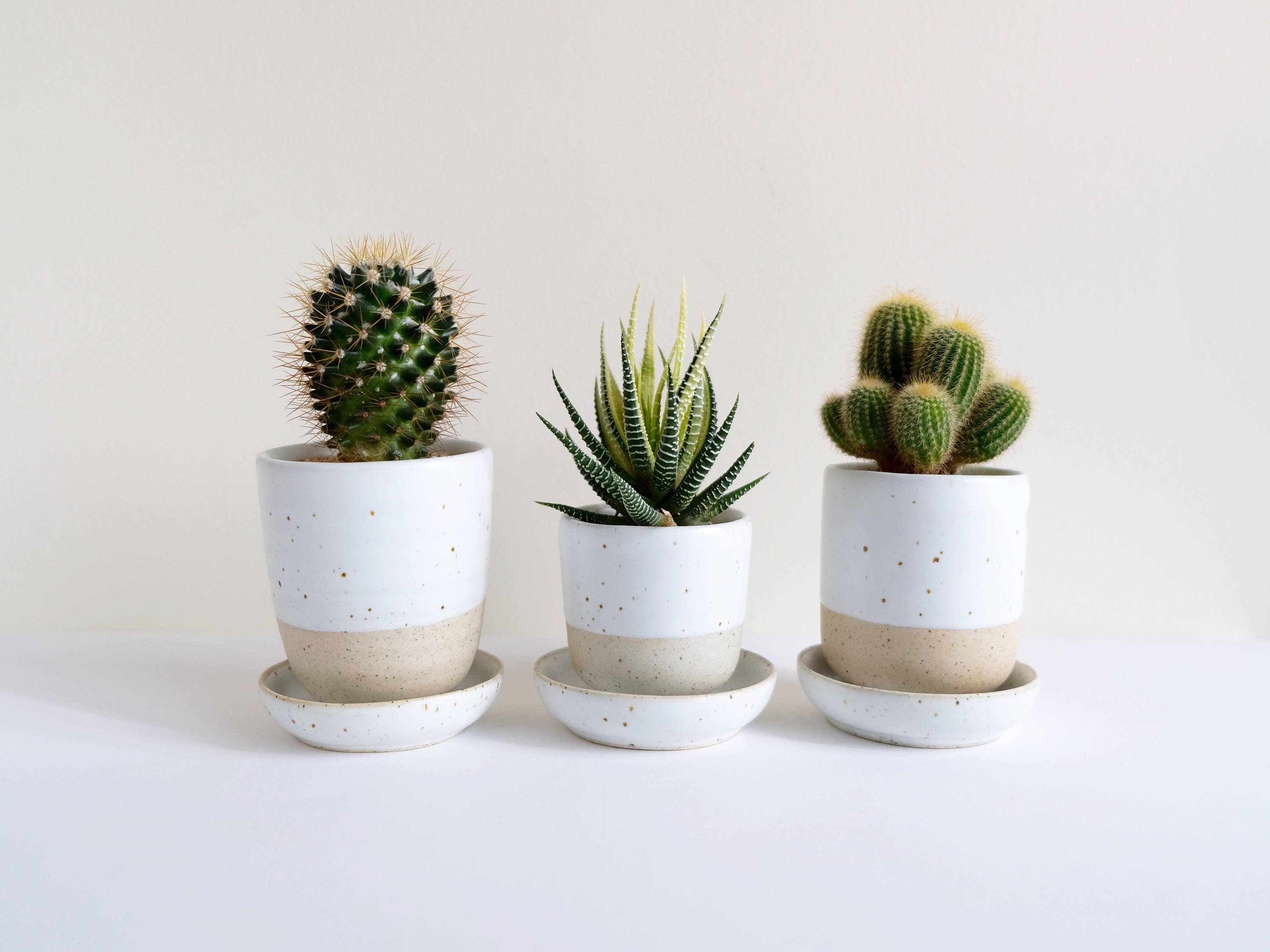 Ensemble de 3 Jardinières et Soucoupes en Céramique - Caille Blanche, Pot Plantes Pour Succulentes C