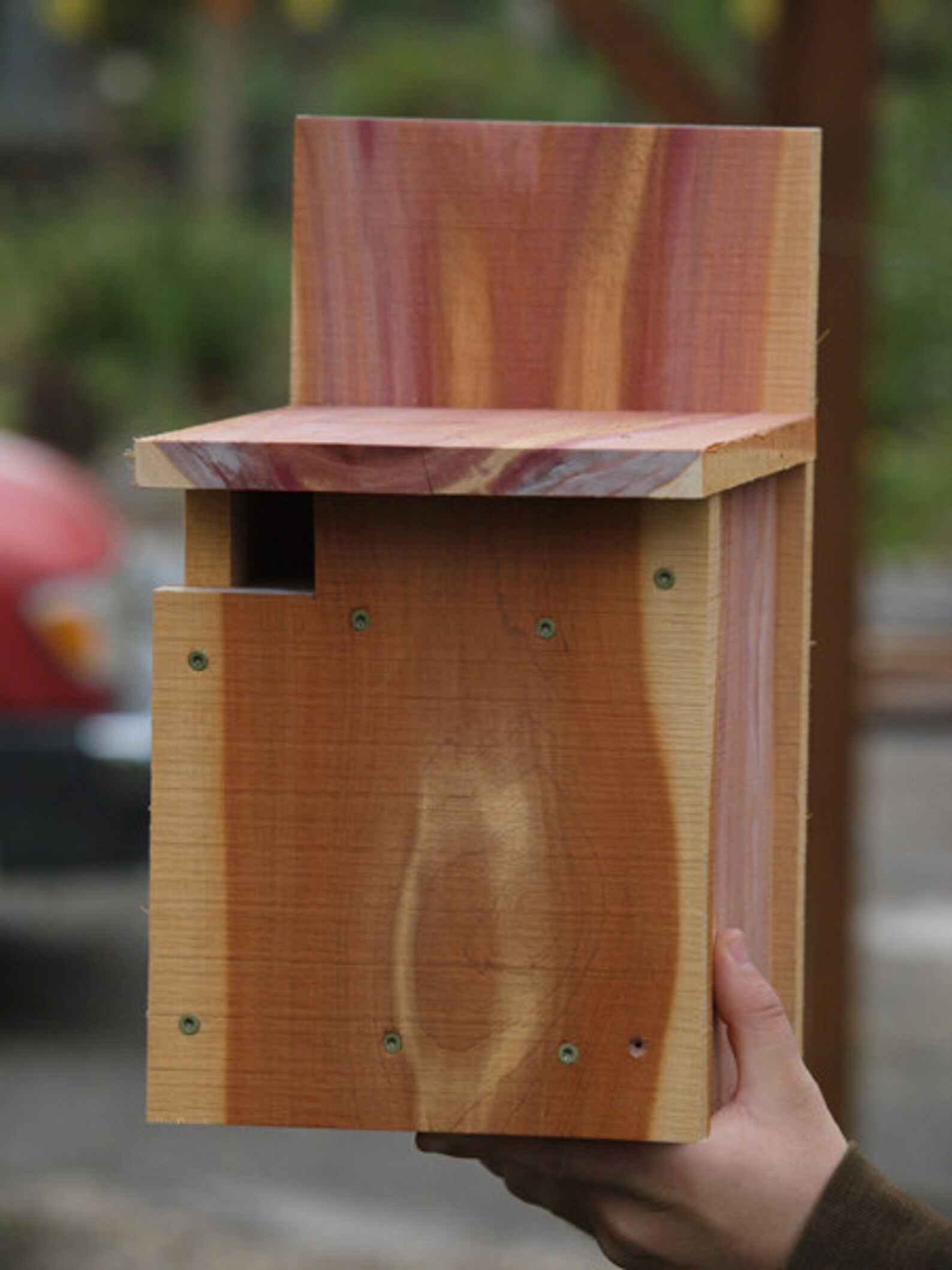 Flying Squirrel Nest Box Etsy