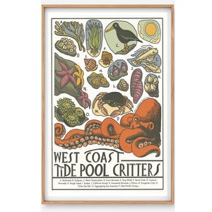 Tide Pool Poster- Tide Pool Illustration, Tide Pool Art, Oregon Tide Pools, Oregon Home Décor, Beach wall décor, Marine biology