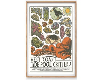 Tide Pool Poster- Tide Pool Illustration, Tide Pool Art, Oregon Tide Pools, Oregon Home Décor, Beach wall décor, Marine biology