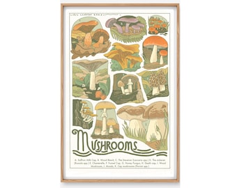 Mushroom Poster- Mushroom Art, Mushroom Wall Art, Mushroom Illustration, Mushroom Home decor, Mushroom Scientific Ilustration