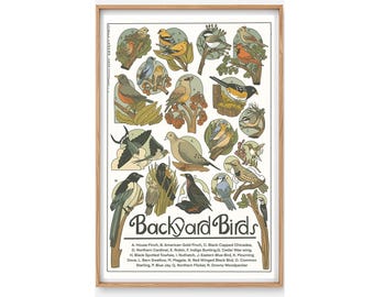 May include: A poster titled "Backyard Birds" with illustrations of 18 different bird species, including a house finch, American goldfinch, black-capped chickadee, northern cardinal, robin, indigo bunting, cedar waxwing, black-spotted towhee, nuthatch, eastern bluebird, mourning dove, barn swallow, magpie, red-winged blackbird, common starling, blue jay, northern flicker, and downy woodpecker.