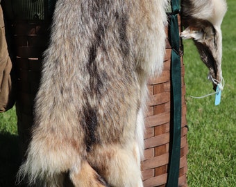 Natural Coyote pelt, garment-quality tanned, authentic fur (14)