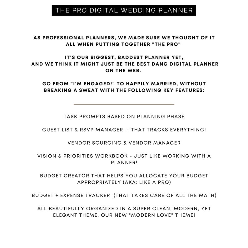 THE PRO Digital Wedding Planner All-In-One Wedding Planning Template Wedding Budget Wedding Checklist Google Sheet Modern Love Theme image 3