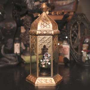 May include: A hexagonal gold-toned metal lantern with intricate cut-out patterns on the top and base. The lantern features clear glass panels and contains a small decorative arrangement of a skull, moss, and mushrooms inside the enclosure.