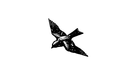 Digital SVG PNG Bird Swallow Martin Sparrow Flying - Etsy Canada Digital SVG PNG Bird Swallow Martin Sparrow Flying - Etsy Canada
