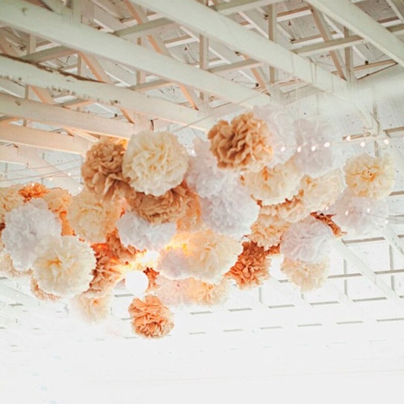 10pcs Mixed Cream Tan Brown White Party Tissue Paper Pom Poms Rustic Wedding Vintage Baby Shower Birthday Nursery Hanging Decoration