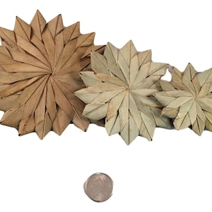 May include: Three woven palm leaf coasters in various sizes. The coasters are brown and beige and have a starburst design. A US quarter is shown for scale.