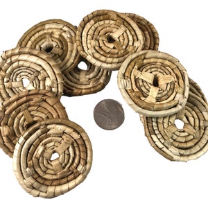 Palm Sand Dollars - 2&quot; - 24pc - Bird Toy Parts & Small Animal Chews