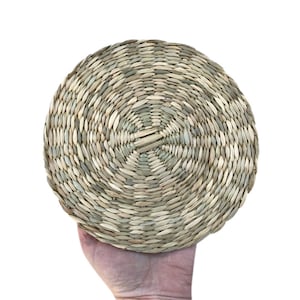 May include: A round woven coaster made of natural materials, featuring a circular pattern of light and dark brown hues.