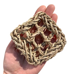 May include: A square-shaped woven grass mat for small animals. The mat is made of natural, light brown grass and has a woven pattern.