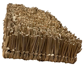 Enrichment Seagrass Foraging Carpet - 8 x 11" - Low Profile