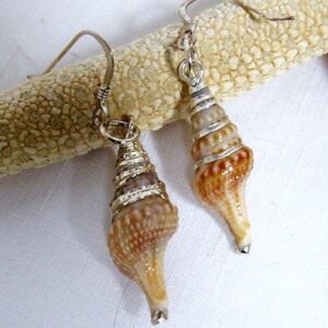 Turid Shell Earring, Sterling Silver, Shell Earrings, Shell dangle earrings,