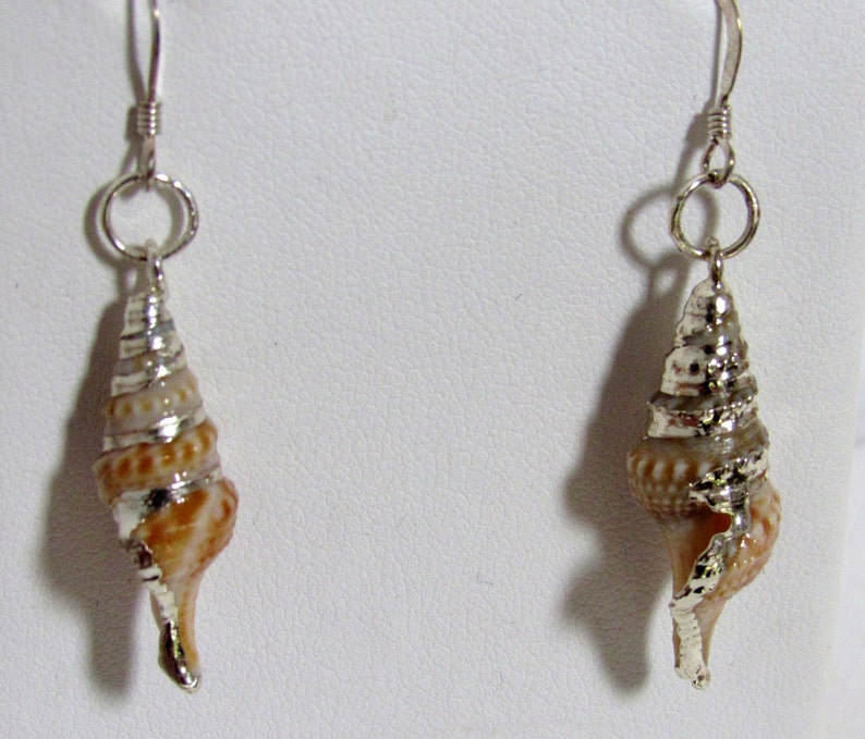 Turid Shell Earring, Sterling Silver, Shell Earrings, Shell Dangle ...