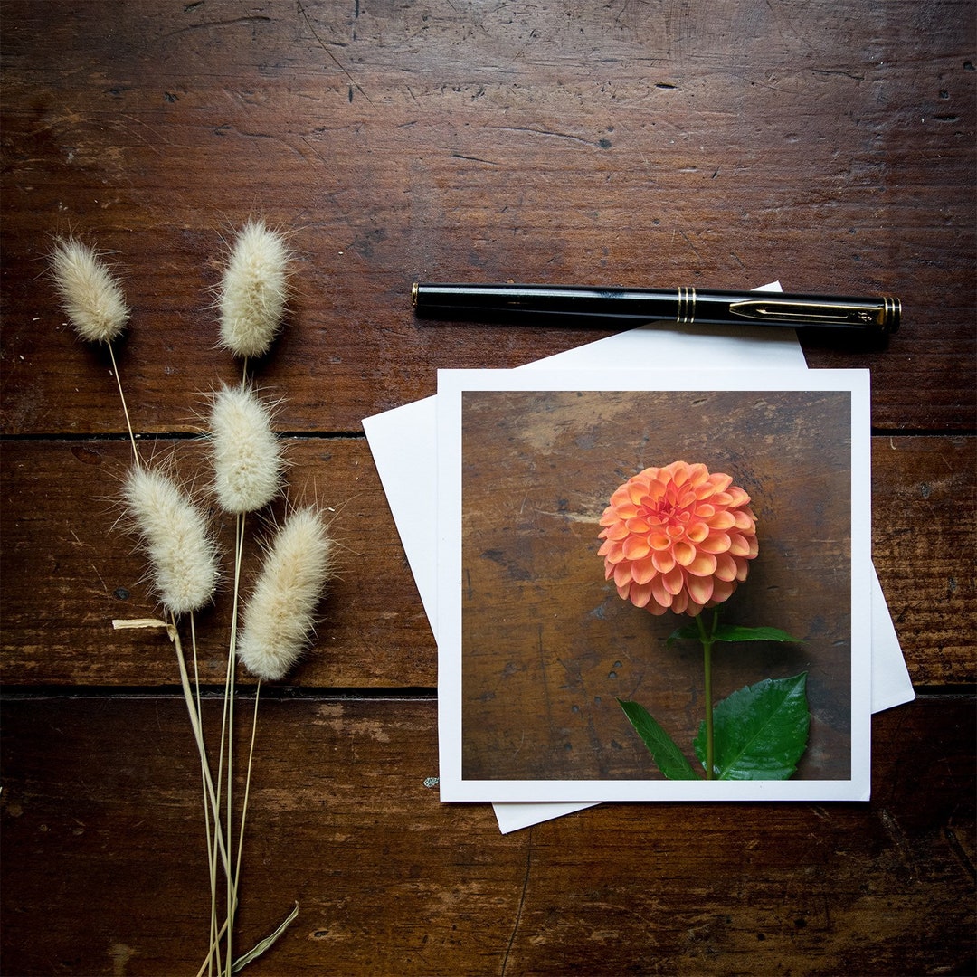 Dahlia Blank Greeting Cards - Boxed Set of 6 - Etsy