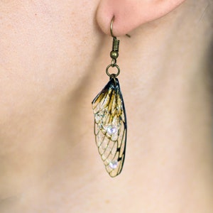 May include: A pair of earrings featuring a delicate, translucent insect wing design with a bronze-colored metal hook. The wings are accented with small, clear rhinestones.