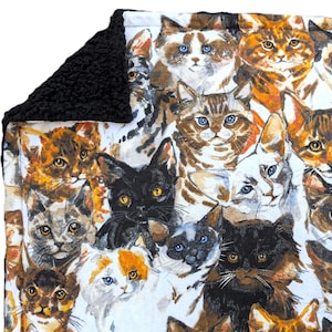 Catnip Cat Mat Watercolor Cats Plush Fleece
