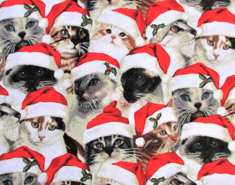 May include: A repeating fabric pattern featuring various cat breeds, each wearing a red and white Santa hat adorned with a small green holly leaf and red berry accent. The cats have diverse fur colors including tabby, calico, and Siamese patterns.