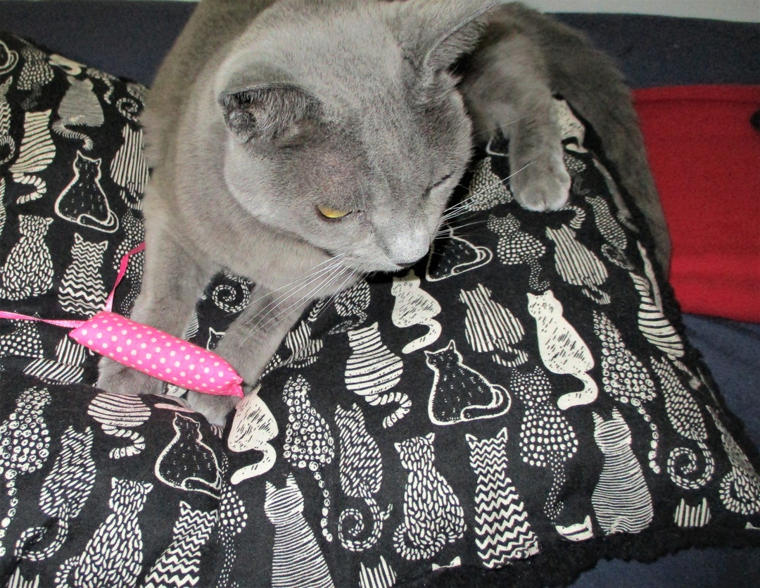 Catnip Mat Cat Shape Pillow Beds Etsy