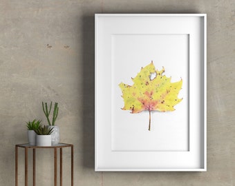 Sycamore Leaf in Autumn Print, Botanical Illustration Poster, Wall Art, Original