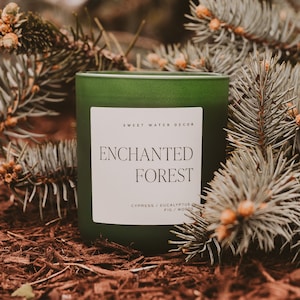 Enchanted Forest Soy Candle - Woodsy Scented Summer Candle for Home, Relaxing Aromatherapy Candle - Green Matte Jar, Nontoxic