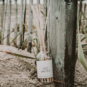 Salt and Sea Reed Diffuser Set for Living Room, Bedroom, Bathroom: Flameless Home Fragrance, Clear Diffuser Bottle with Reed Sticks