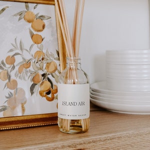 Island Air Reed Diffuser: Tropical Fruit, Orange, Mountain Air Home Fragrance - Clear Glass (3.5oz)