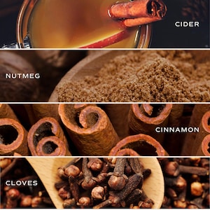 May include: A four-panel collage featuring amber cider with a cinnamon stick, a wooden spoon of brown nutmeg powder, a collection of rolled cinnamon sticks, and a wooden spoon filled with dark brown whole cloves, each labeled with its name.