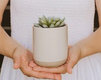 Stoneware Planter | Rustic Cream or Black Stoneware Plant Pot | Small Indoor Pot | Plant Not Included | Drainage Hole Not Included