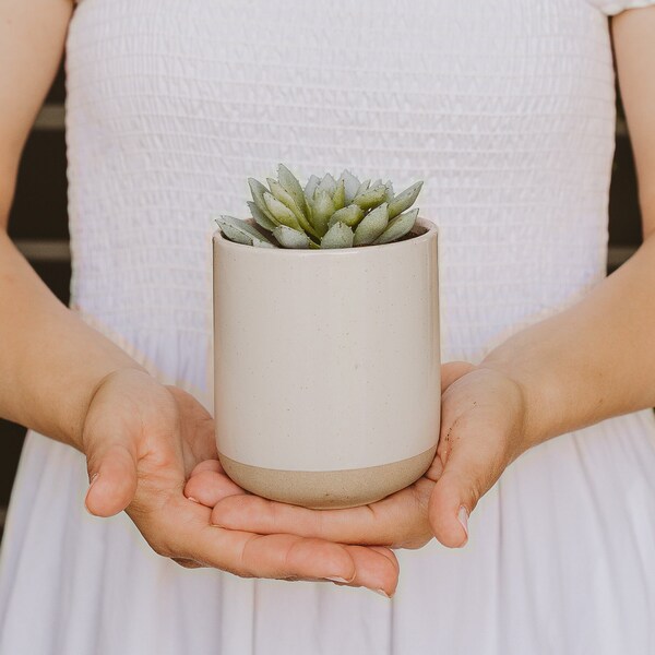 Stoneware Planter | Rustic Cream or Black Stoneware Plant Pot | Small Indoor Pot | Plant Not Included | Drainage Hole Not Included