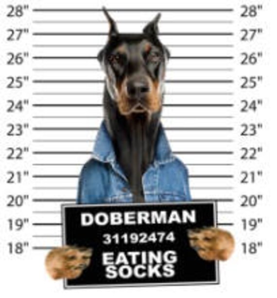 cool dog t shirts