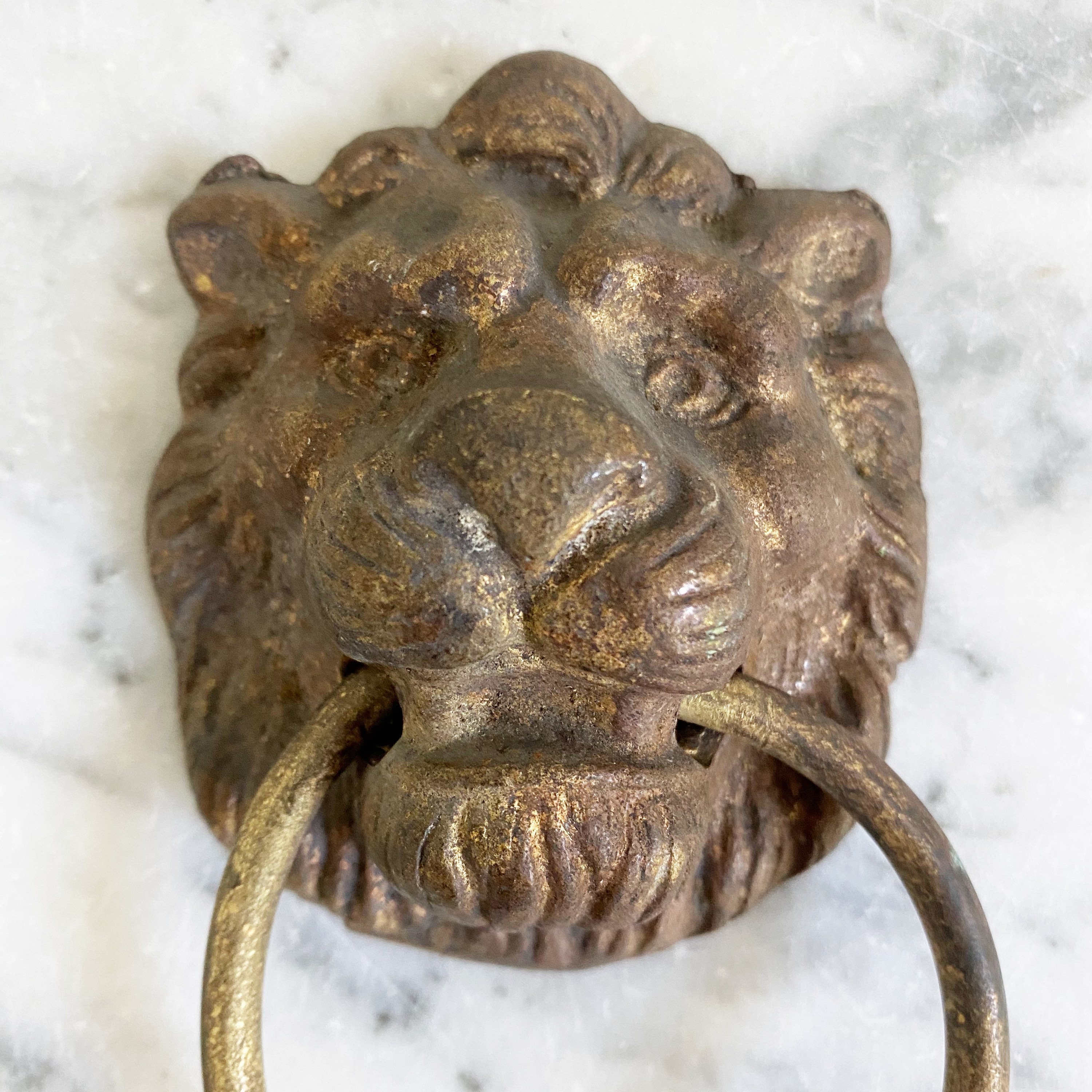 Large Brass Lion Pull. Vintage Brass Drawer Pull. Etsy