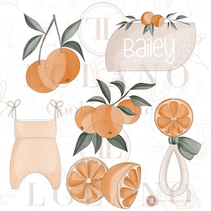Puede incluir: Decoraciones para baby shower de temática naranja con una etiqueta de nombre que dice "Bailey" y un sonajero con un diseño de rodaja de naranja.