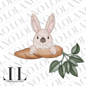Bunny w/ Carrot (v2)
