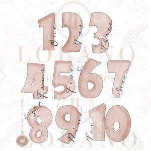 Puede incluir: Diez cortadores de galletas de estilo acuarela en forma de números del 1 al 10. Cada número tiene una palabra escrita a mano para el número dentro de la forma.