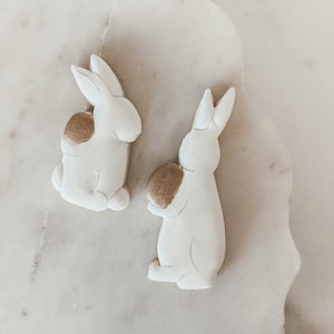Bunnies holding eggs cookie cutters set of 2